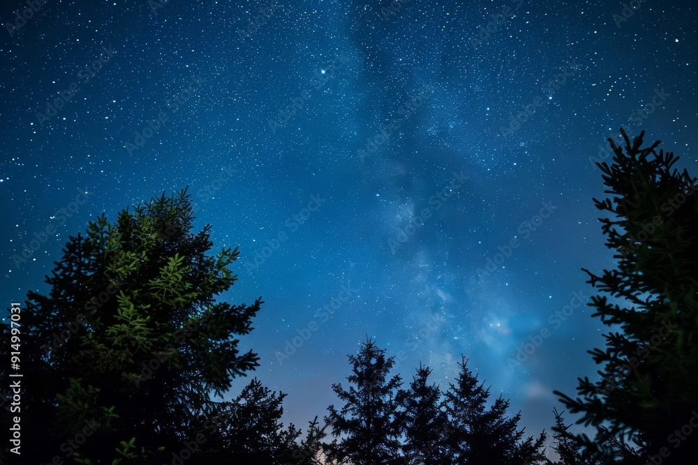 Delve into the science of overhead star arrangements with celestial blueprints on a clear night