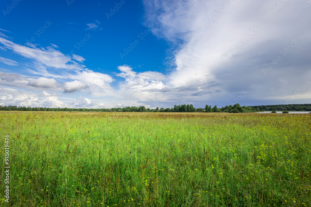 Bright green grass stretches across the meadow as fluffy clouds drift above, reflecting the tranquility of the lake nearby. Bright green grass stretches across the meadow as fluffy clouds drift above, reflecting the tranquility of the lake nearby.