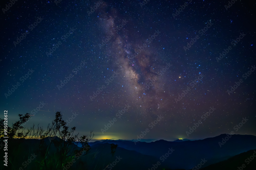 Naklejka premium 夜空の星々:木々のシルエットと満天の星