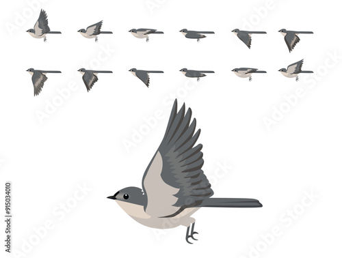 Tufted Titmouse Bird Flying Animation Sequence Cartoon Vector