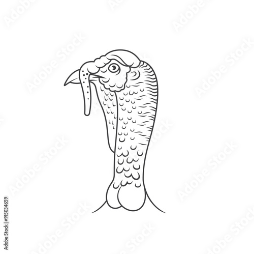 simple drawing of a turkey, vector art.