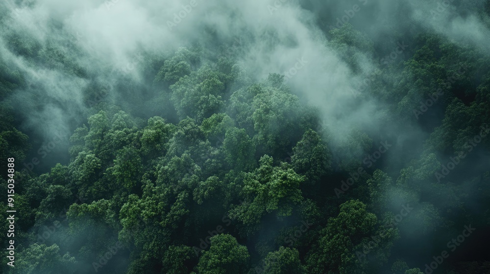 Fog rolling over a dense forest, creating a mysterious and ethereal atmosphere Fog rolling over a dense forest, creating a mysterious and ethereal atmosphere