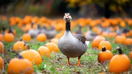 A curious goose stands amon...