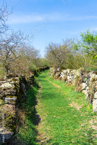 Earthen road with grass and stone fences of the medieval town of Samshvilde photo