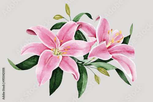 Beautiful watercolor illustration of pink lilies with green leaves