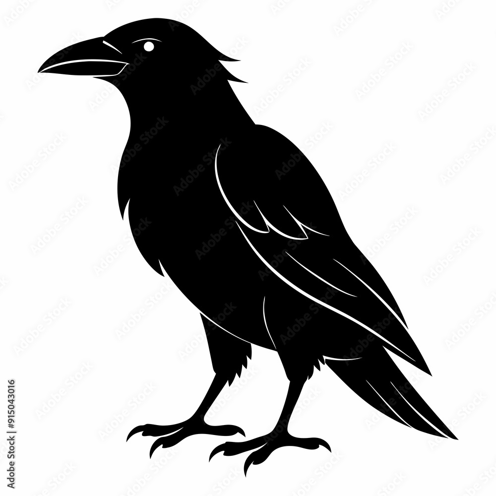 Fototapeta premium Crow Black silhouette
