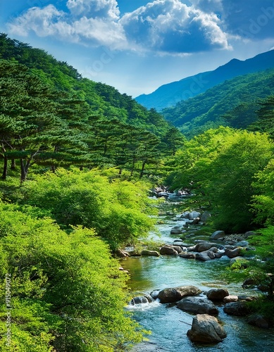 Korean style summer valley