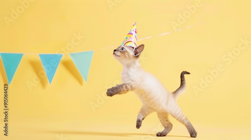 Playful Kitten in Birthday Hat