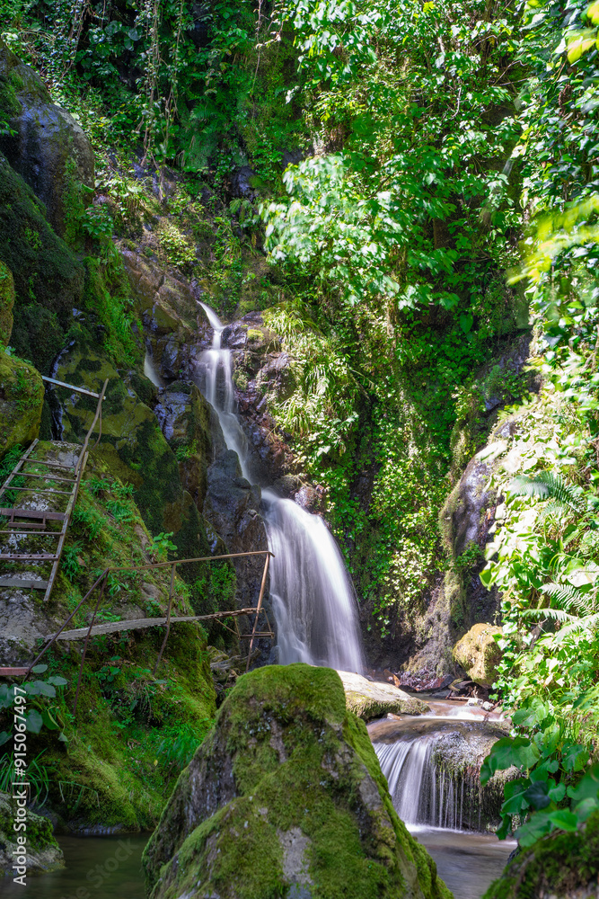 waterfall in the forest waterfall in the forest