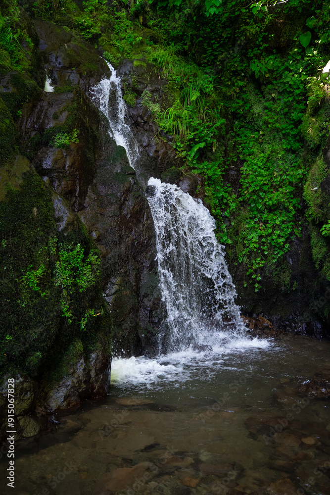 waterfall in the forest waterfall in the forest