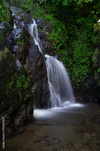 waterfall in the forest