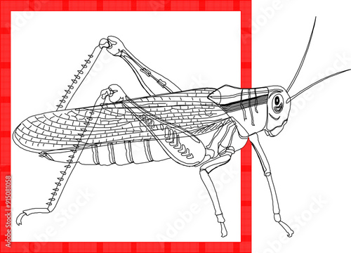 Vector illustration sketch of fish wall decoration design silhouette in box frame for room interior