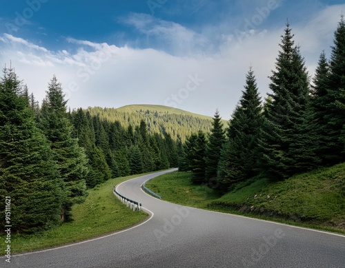 Serpentine Mountain Road