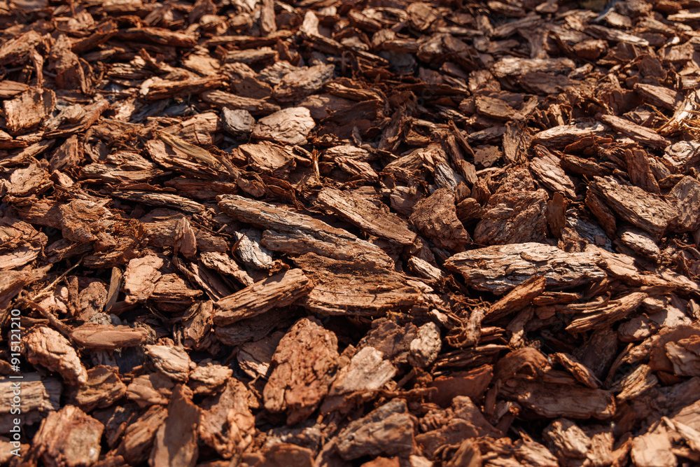 Abstract background of large pieces of pine bark. View from an angle, selective focus. Abstract background of large pieces of pine bark. View from an angle, selective focus.
