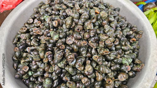 A container filled with freshwater snails, captured at a local market