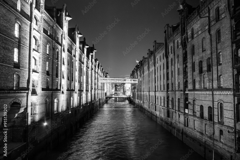 Fototapeta premium Pont en noir