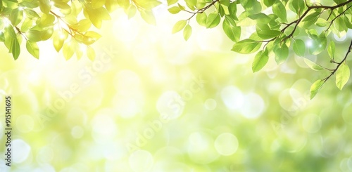 This banner background features an abstract blurry foliage background with bright summer sunshine, and a central copyspace for your text or advertisement.