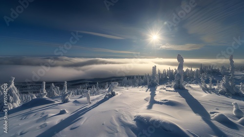 Polar day clouds illuminated by the bright polar