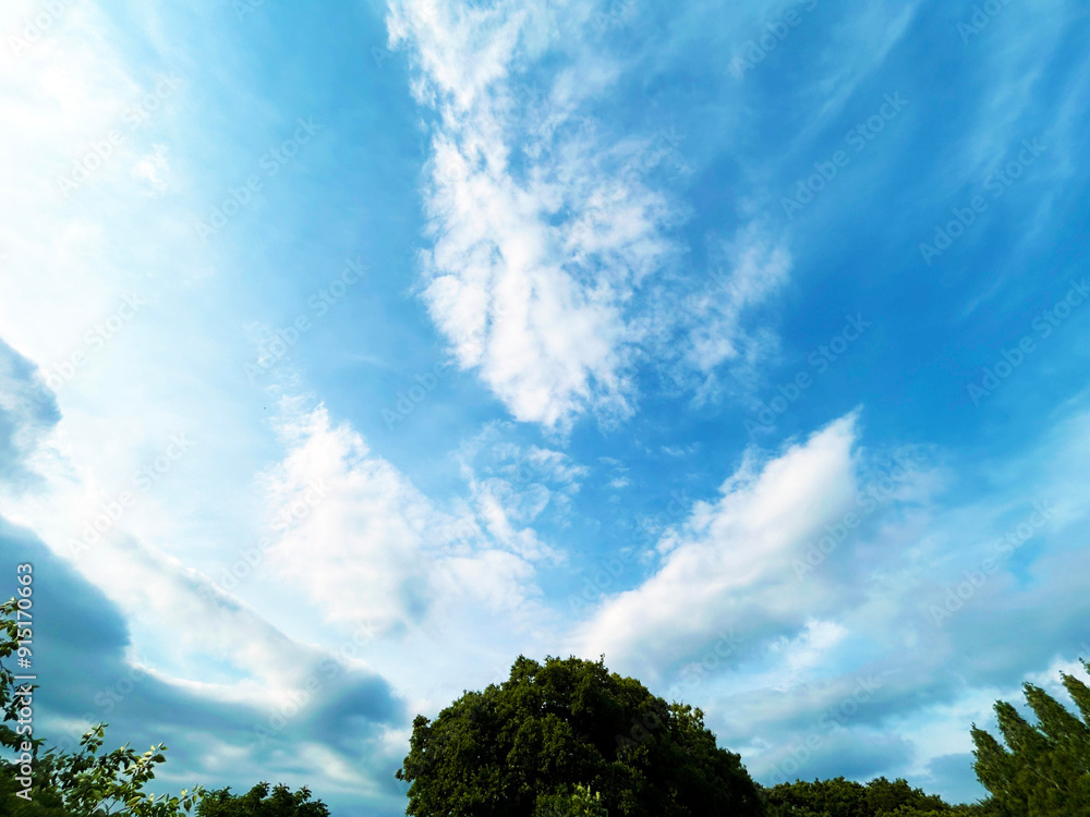 木々と空模様 木々と空模様