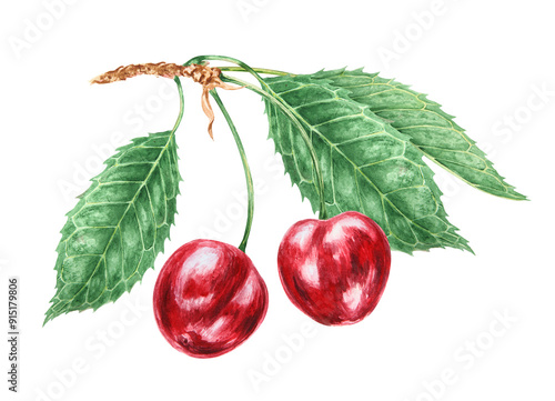 Red cherry branch with green leaf. Juicy hand drawn watercolor illustration. Delicious food art, fresh botanical realistic painting. Summer berry clipart for menu, prints for farm goods, vegan product