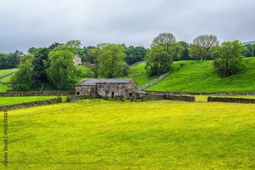 Obraz premium Farms in Yorkshire Dales National Park, North Yorkshire, England