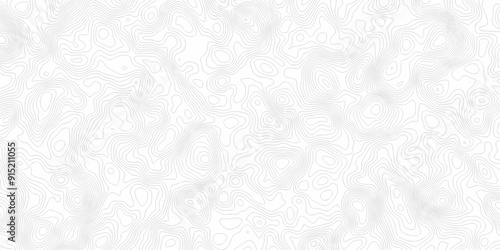 White wave paper curved reliefs abstract background. The topographic map contour in lines isolated. Abstract white topographic map background with lines. Background of the topography map.