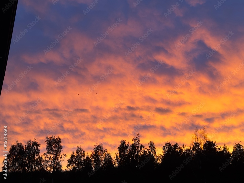 Fototapeta premium Clouds