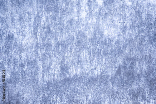 Schilderij op canvas Forêt laponne