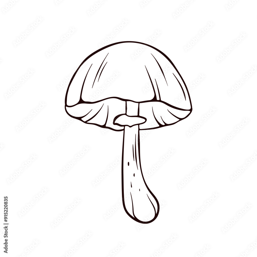 Simple line drawing of an Autumn Skullcap mushroom. The mushrooms smooth cap, gills, and slender stem. Vector illustration isolated on a white background. Simple line drawing of an Autumn Skullcap mushroom. The mushrooms smooth cap, gills, and slender stem. Vector illustration isolated on a white background.