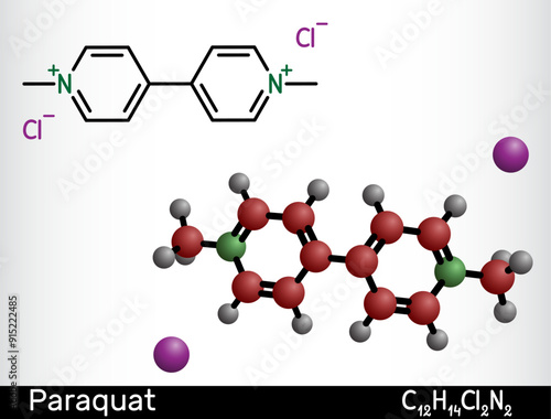 Paraquat, methyl viologen  molecule. It is herbicide, pesticide. Structural chemical formula and molecule model