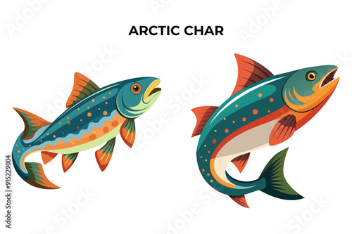 Detailed Arctic Char Fish vector illustration. Perfect for culinary, marine, and environmental designs. High-quality vector for easy customization. Ideal for menus, packaging, education, and web graph