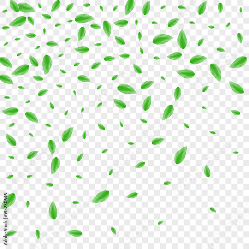 Green Leaves Background Transparent Vector. Plant Border Texture. Life Frame. Greenish Decorative Illustration. Vegetation Motion.