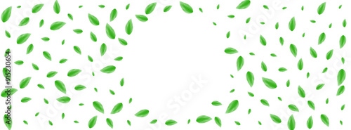 Light Green Leaf Background White Vector. Sheet Creative Texture. Falling Design. Greenish Environment Illustration. Leaves Pure.