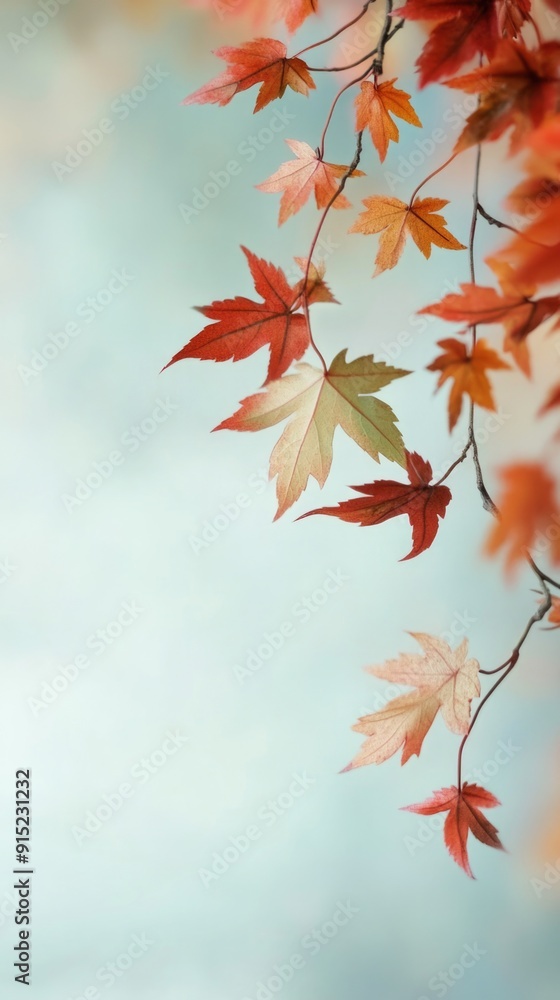 Autumn maple leaves background, fall backdrop Autumn maple leaves background, fall backdrop