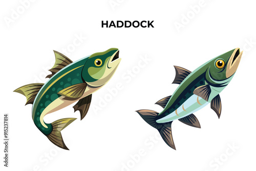 Detailed Haddock fish vector illustration. Perfect for culinary, marine, and environmental designs. High-quality vector for easy customization. Ideal for menus, packaging, education, and web graphics.