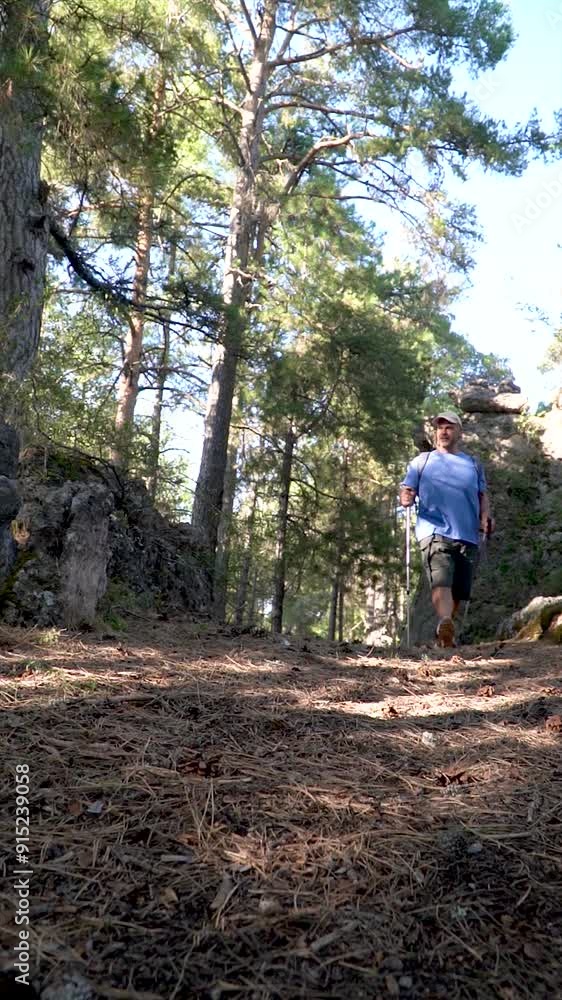 Slow motion, man hiking in the forest on a summer sunset. Slow motion, man hiking in the forest on a summer sunset.