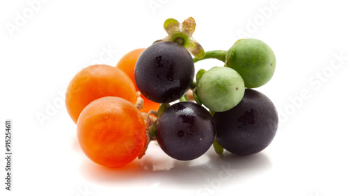 Close-up of Fresh Organic Red, Black and green nightshade or Makoy (Solanum nigrum) fruits. Isolated on a white background. photo