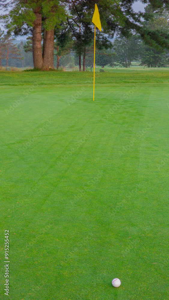 Obraz premium Golf ball ready for birdy on a pretty Canadian golf course