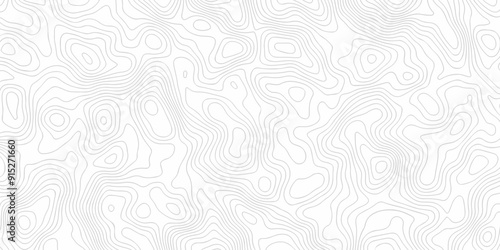 Topography wave line vector grid map. white wave line geography landscape Topo contour map on white background. Geographic mountain relief diagram line wave carve pattern.