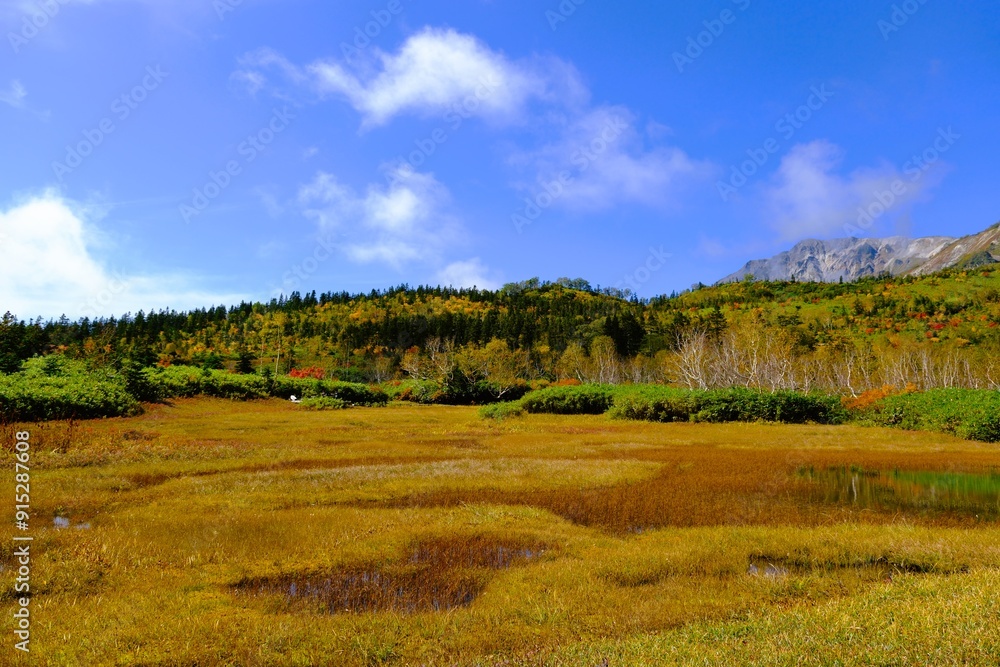 Fototapeta premium 秋深まる栂池自然園の紅葉
