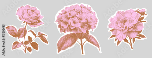  Vintage flowers kit. Collage with a girly aesthetic. Retro bitmap scrapbooking style with cutout element. Trendy stickers for poster art or t-shirt with photocopy dotted effect.