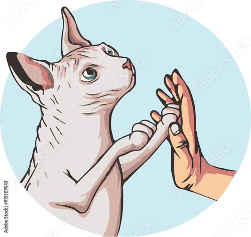  cat and man are friends