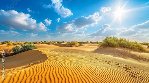 Panoramic landscape of golden sand dune in desert and blue sky