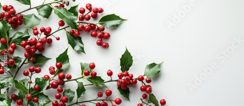 Arrangement of red holly be...