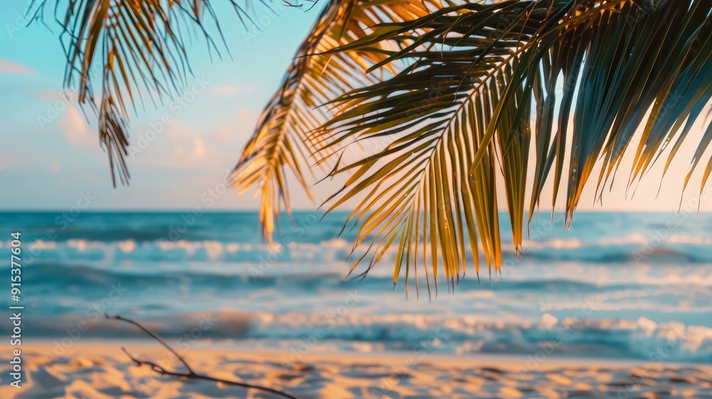 Fototapeta premium The coconut tree leaves with background with sea waves on the beach for mockup background. Tropical sea beach template and palm leaf on seaside