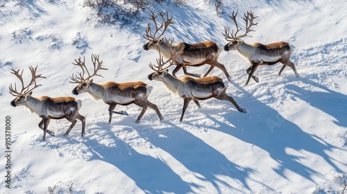 A herd of reindeer running across a snowy landscape