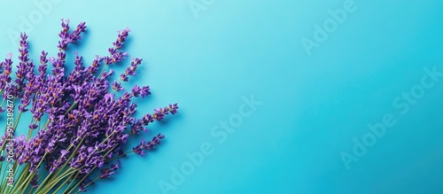 A cluster of fresh lavender...