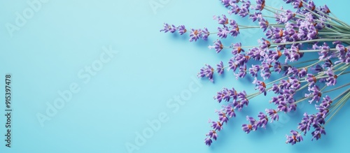 A cluster of fresh lavender...