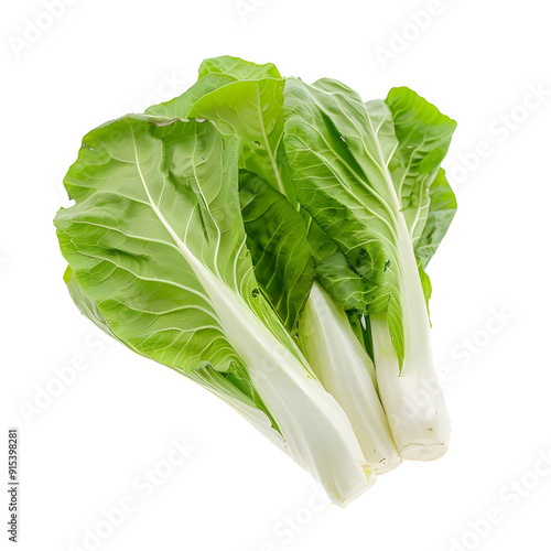 Chinese Cabbage : White-green leaves, crispy, used in soups, stir-fries, and clear soup, vegetables and herbs, studio lighting, isolate on white background, photo