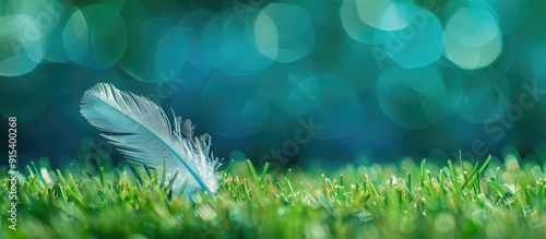 A bird s feather in the grass on a freshly mowed lawn in a classic blue hue Vibrant color tone in a fashionable shade Copyspace layout for design photo